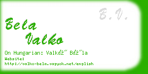 bela valko business card